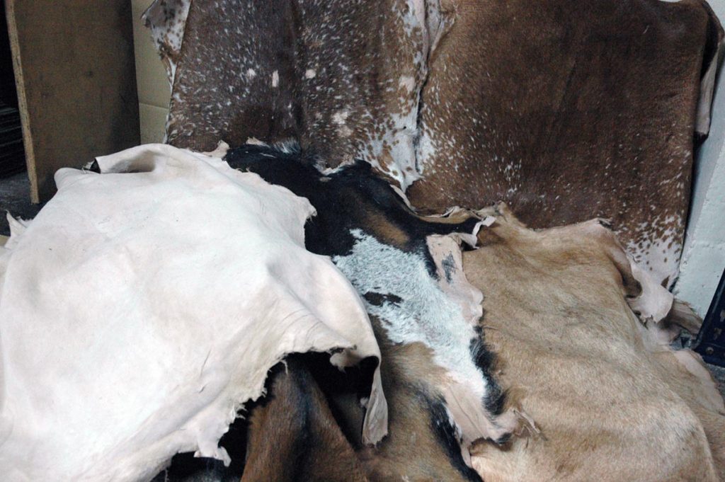 Pieles de cabra curtidas al natural en Las Tres ZZZ